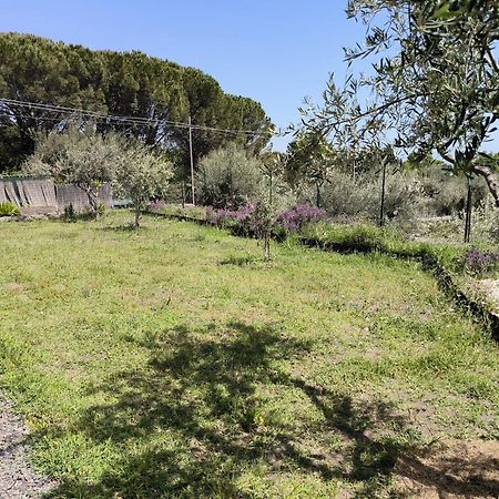 Villa Egle Belpasso, Villa Vacanza Con Piscina Exterior foto