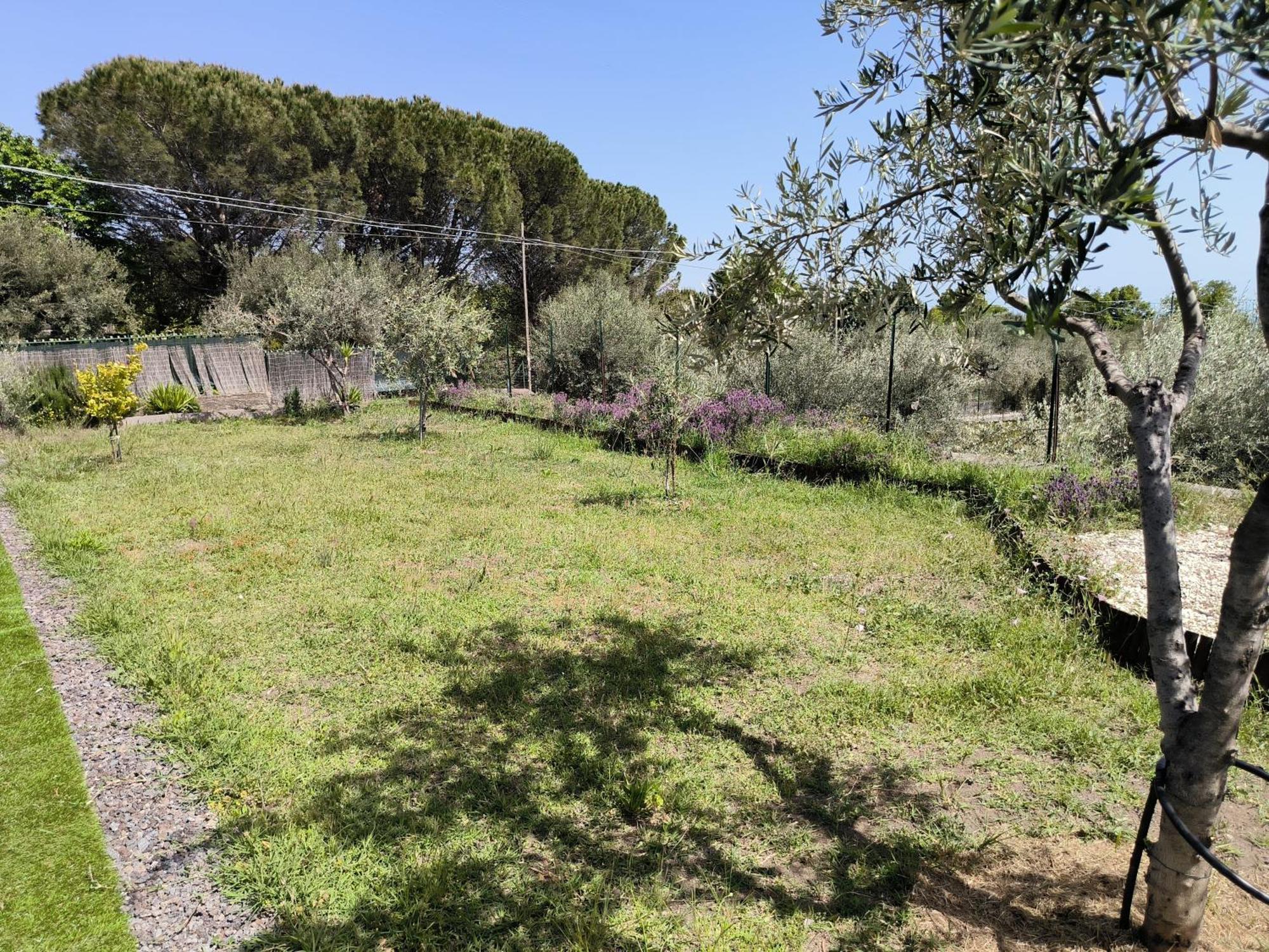 Villa Egle Belpasso, Villa Vacanza Con Piscina Exterior foto